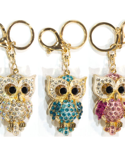 What A Hoot Bag Charm/Keyring Pack Of 6